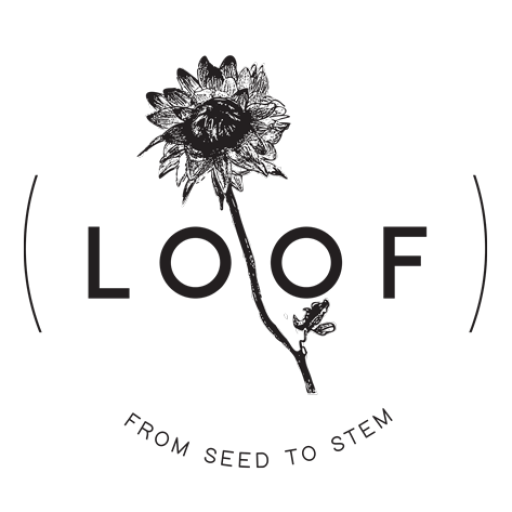 LOOF Dahlias , Seed and Stems